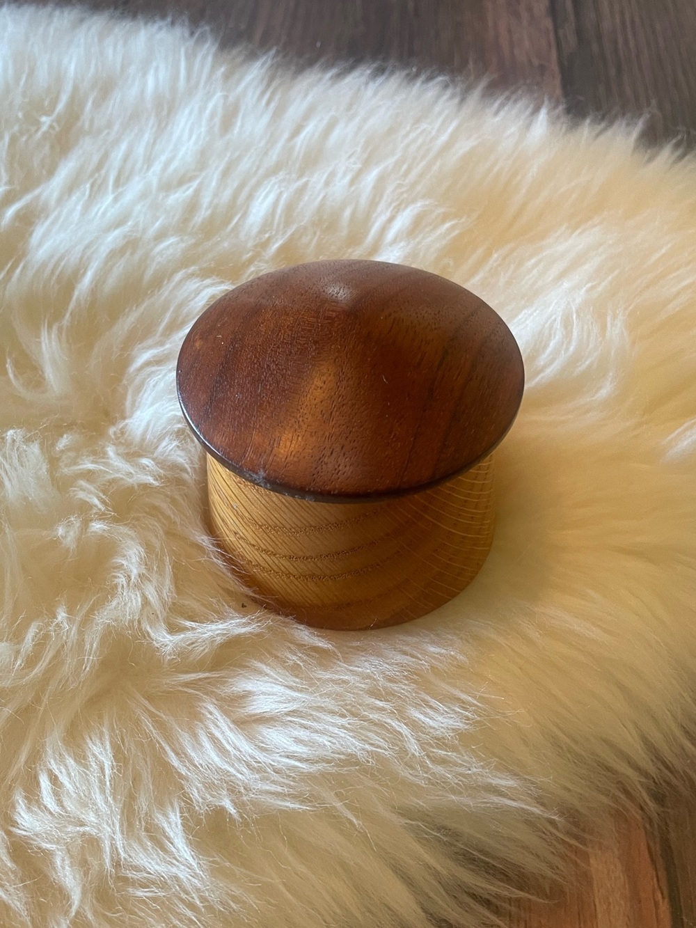 Tiny Mushroom Trinket Box